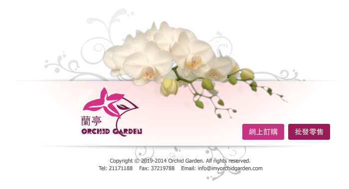 蘭花,蝴蝶蘭,蘭花批發,蝴蝶蘭批發